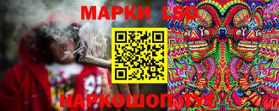 ГАЛЛЮЦИНОГЕННЫЕ ГРИБЫ Пугачёв