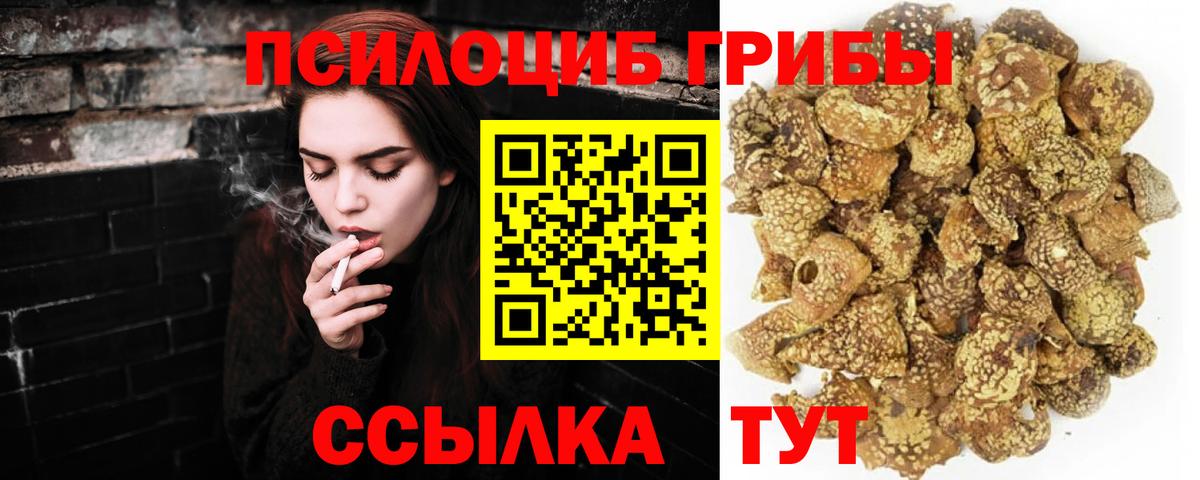 Галлюциногенные грибы Magic Shrooms  где купить наркотик  Ставрополь  Вход с VPN 