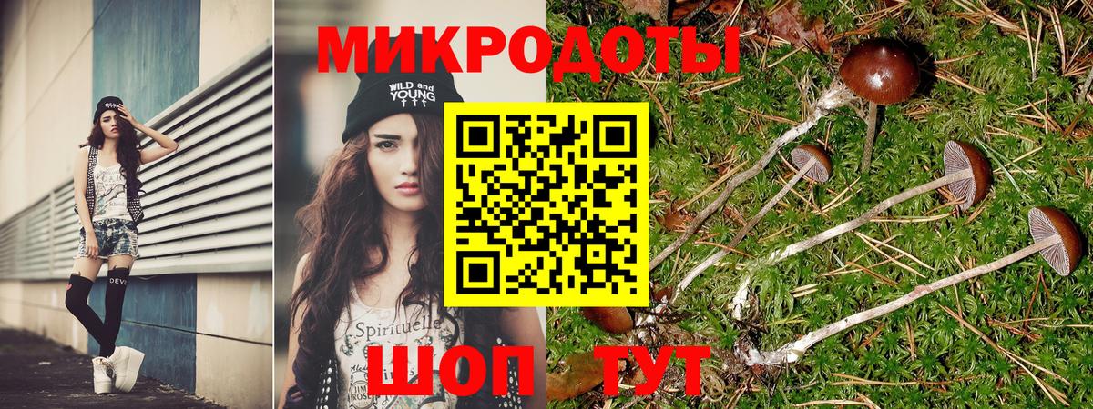 Псилоцибиновые грибы GOLDEN TEACHER Ставрополь